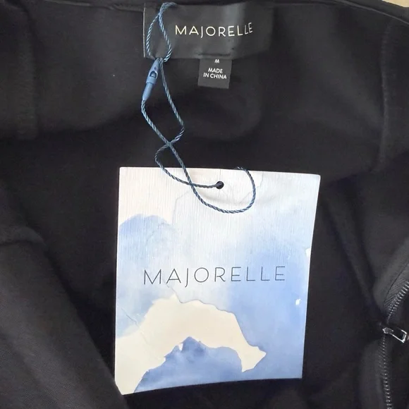 MAJORELLE Dove Long Sleeve Mini Dress in Black - Picture 14 of 15